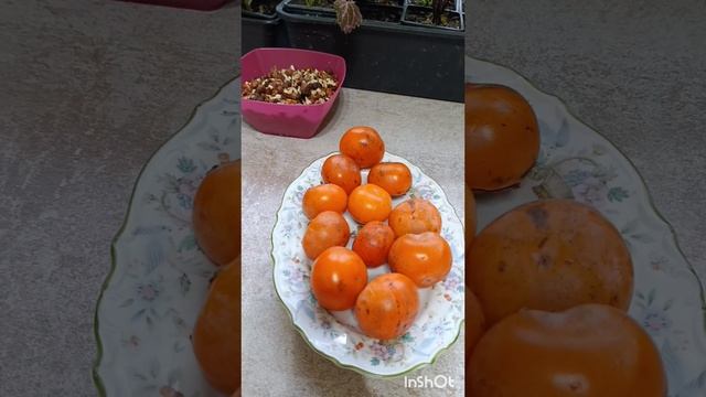 Вырастили сами.
