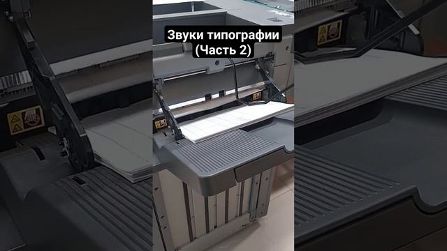 #indesign #бумага #графическийдизайн #печать #полиграфия #типография