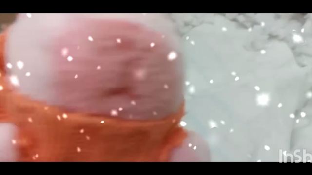 капибарики и мы 🦫💕