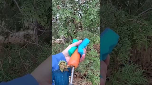 Проверка лайфака с морковкой