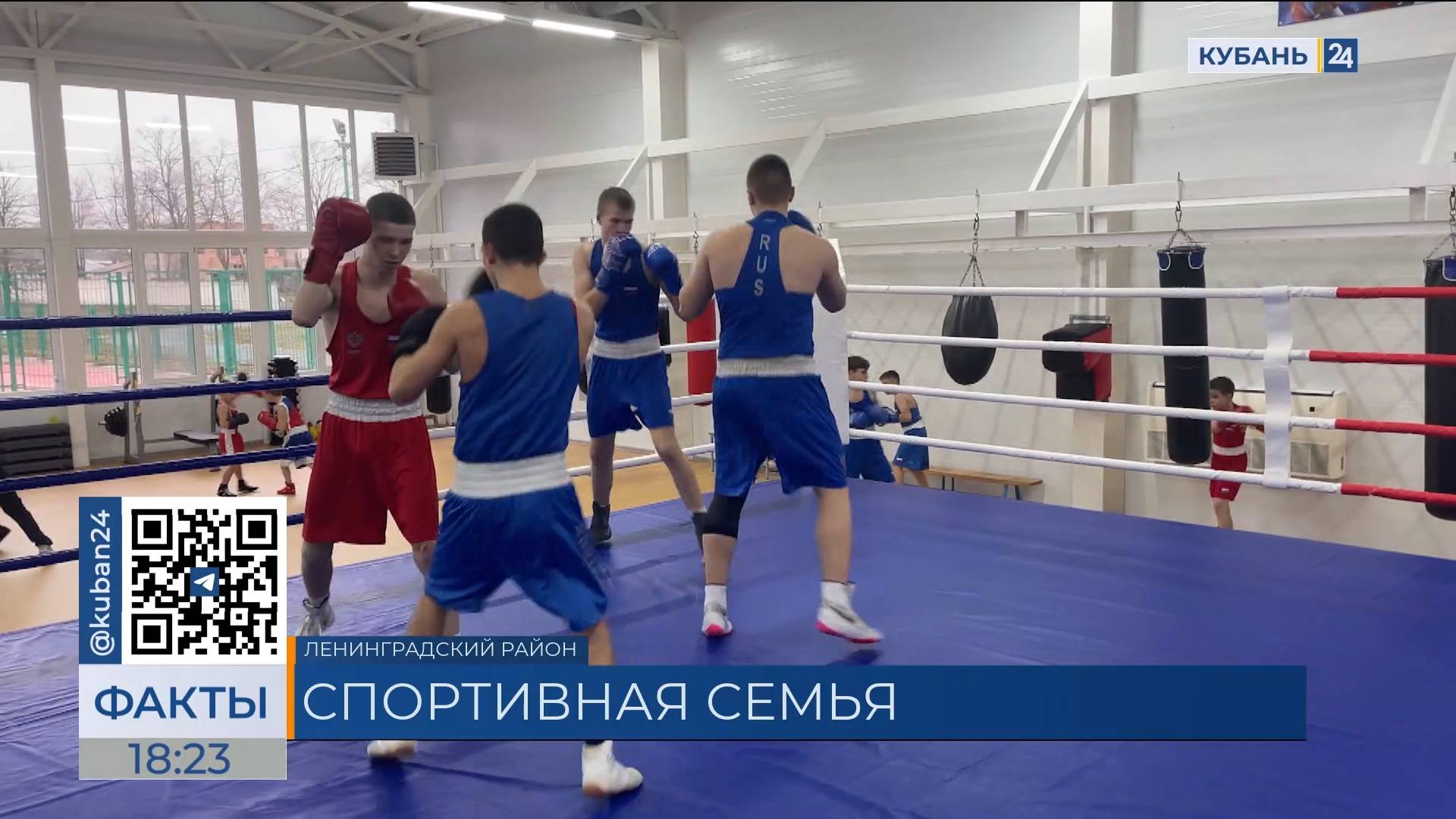 Как семья Селищевых из Ленинградского района приучает детей к боксу