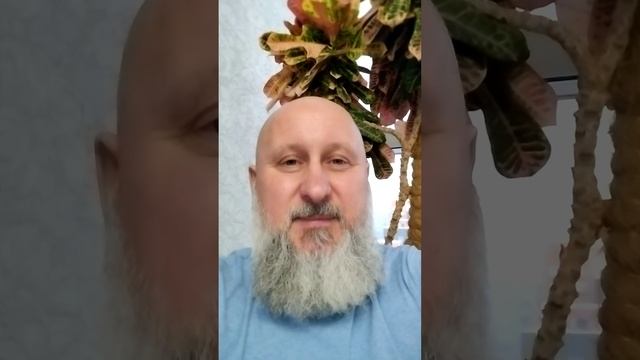 Произошло ДТП!!! Что делать