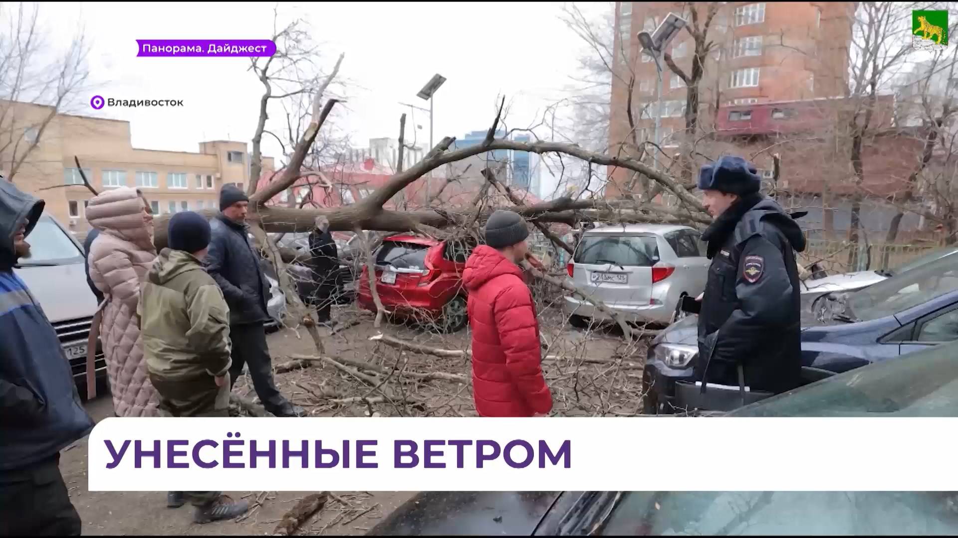 Специалисты продолжают устранять последствия непогоды во Владивостоке