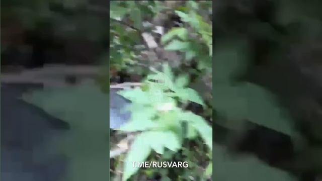 Взятие В Плен Группы Всушников