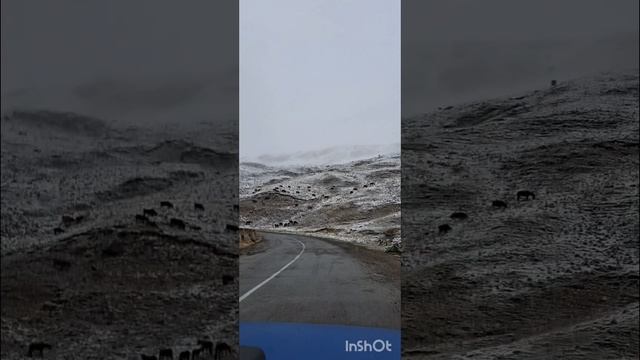 Прокатимся на Озеро Хурла-Кель