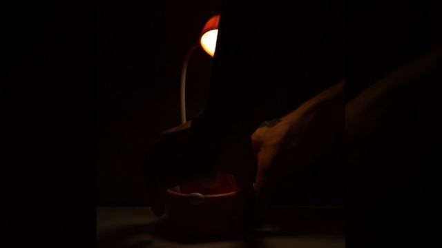 Светильник сенсорный с точилкой "Морковка" LED, от USB/АКБ 6 Вт(арт.1000927980)