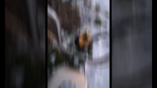 1000018550.mp4