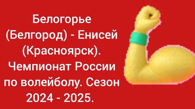 Белогорье - Енисей. Чемпионат России по волейболу. Сезон 2024 - 2025.