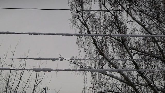 В Гидрометцентре заявили о приходе в регион зимы