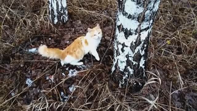 Пришло время расстаться.