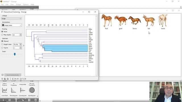 24 Image View and Clustering