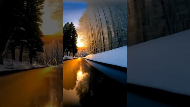 Начни обеспечивать себя на коротких видео reels