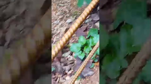 Счастье живет рядом с нами