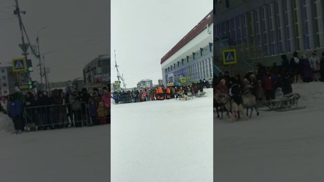 2024-11-26-023100405.mp4 Елена Дружиненко Праздничная Воркута!!! Олений забег!!!