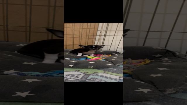 IMG_2301