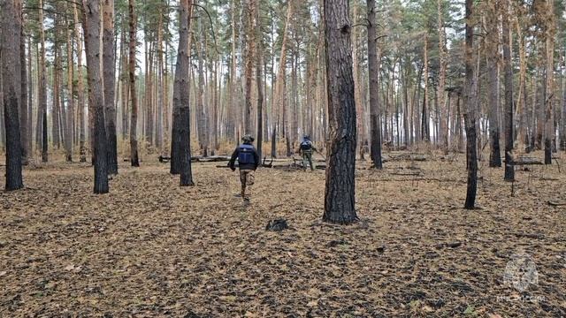 Пиротехники МЧС России из Севастополя обезвредили суббоеприпасы в Курской области