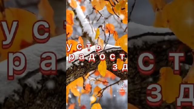 26-11-2024