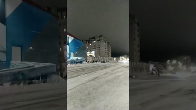 2024-11-25-223136139.mp4 Елена Дружиненко Воркута после Праздника Севера!!!