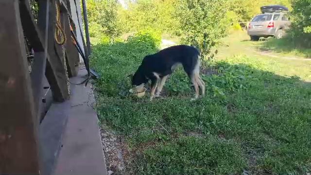 Первый обед Джессики