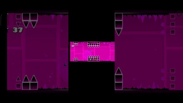 1000003034.mp4