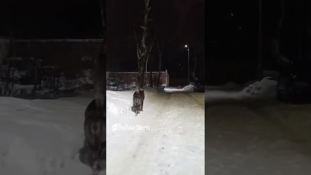 Раз два три четыре