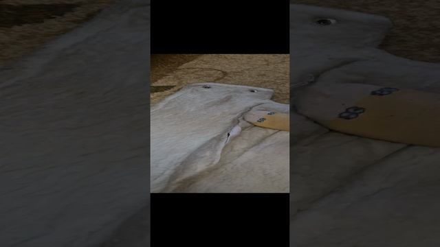 20241122_100222