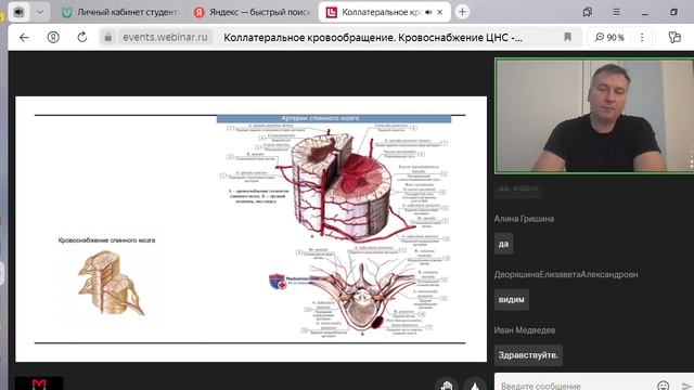 Коллатеральное кровообращение. Кровоснабжение ЦНС 26.11. (первые полчаса не записалиь)