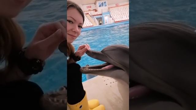🐬🐬🐬