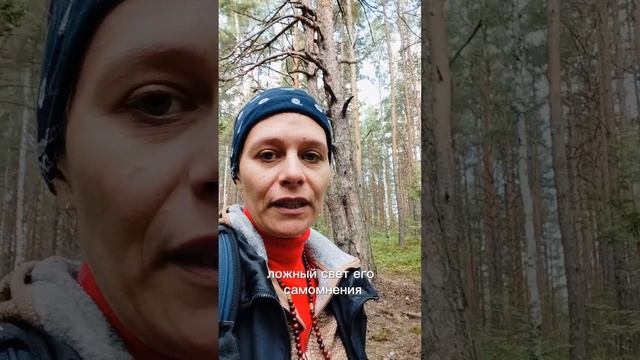 кто твой светоч?