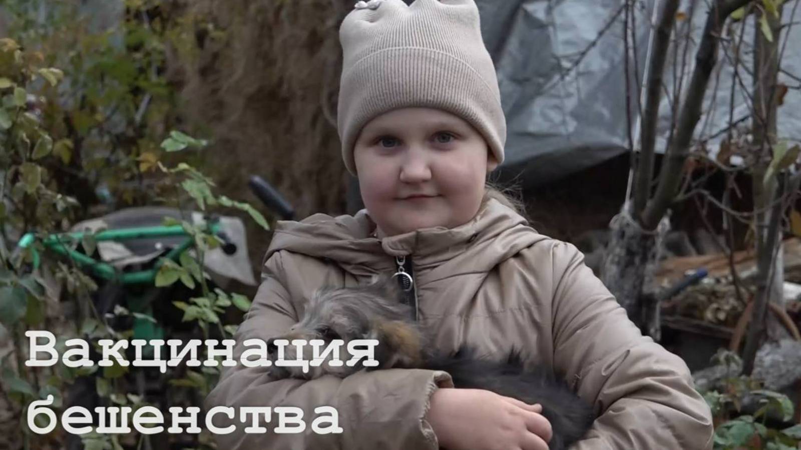 В Краснодонском районе проводят вакцинацию от бешенства