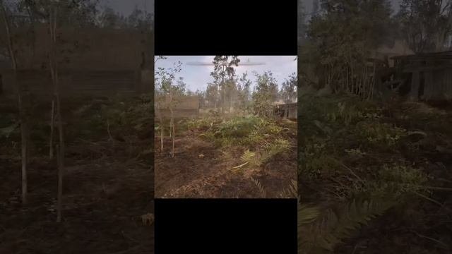Мои лучшие друзья в S.T.A.L.K.E.R. 2