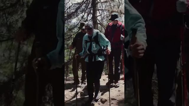 🇿🇲 ЗАМБИЯ | 4 декабря