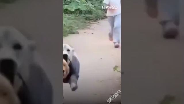 1000081579.mp4