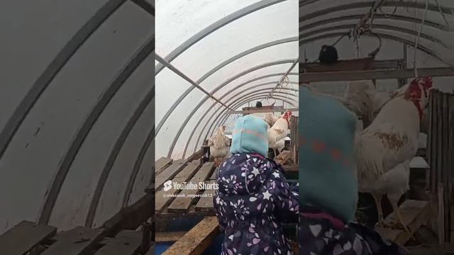 Эй пошли за нами
