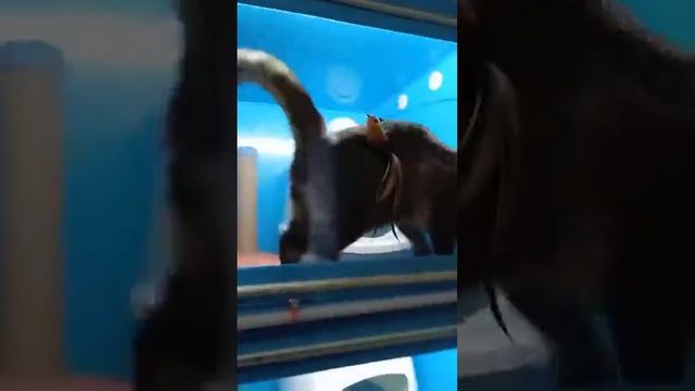 18 04 Стационар  Безопасные игры