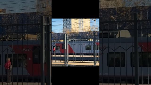 Ласточка на станции Останкино #train