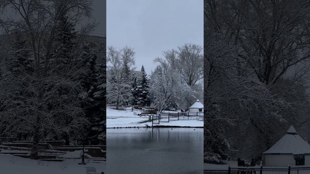 Зимушка-зима в родном Саранске.