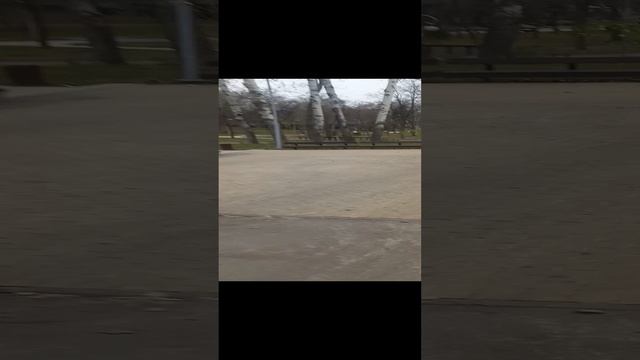 Для Яндекса. Минус другой стардогс.