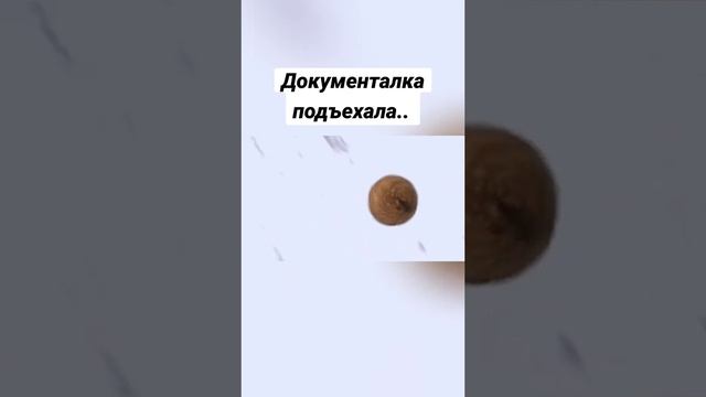 21.11.2024......🇷🇺🇷🇺🇷🇺