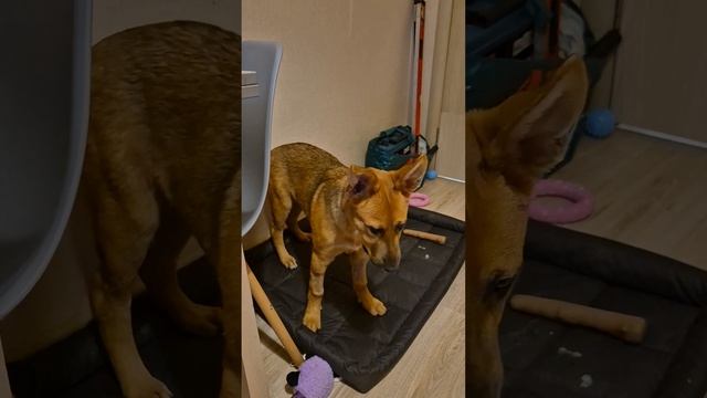 1000131518.mp4