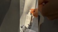 Крем с коллоидным серебром