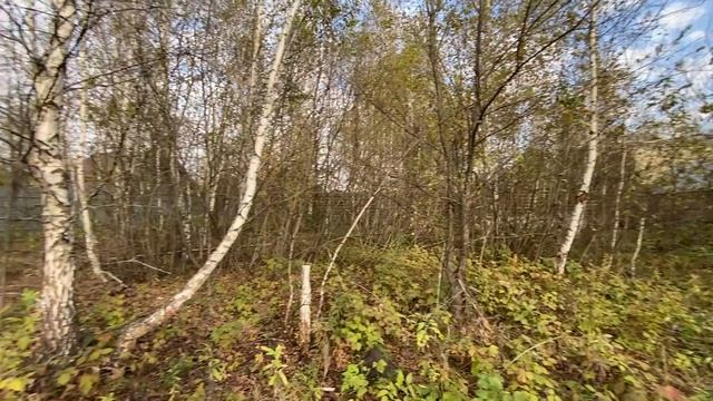 Продается земельный участок 7,8 соток в Карпово (СНТ Звездочка).