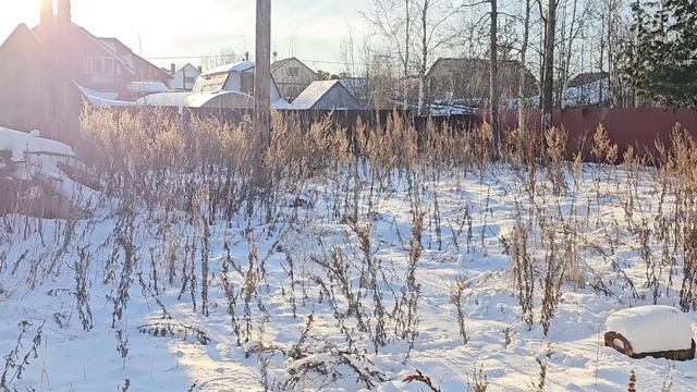 3931905 Снежный