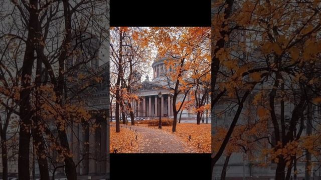 Autumn #питер #санктпетербург #travel #люблюпитер #autumn #рек #врек #рекомендации #врекомендации
