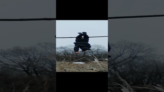 Вис 6