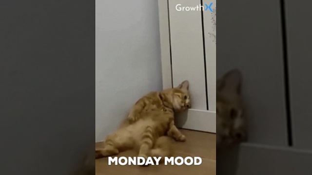 1000049508.mp4