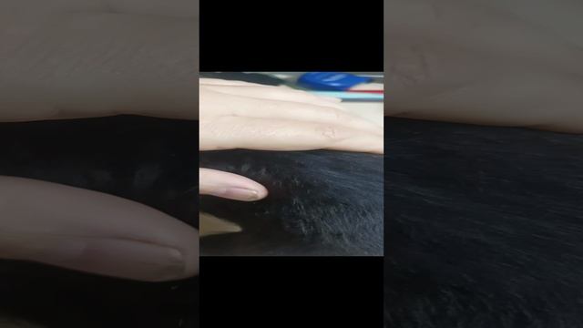 1000113576.mp4