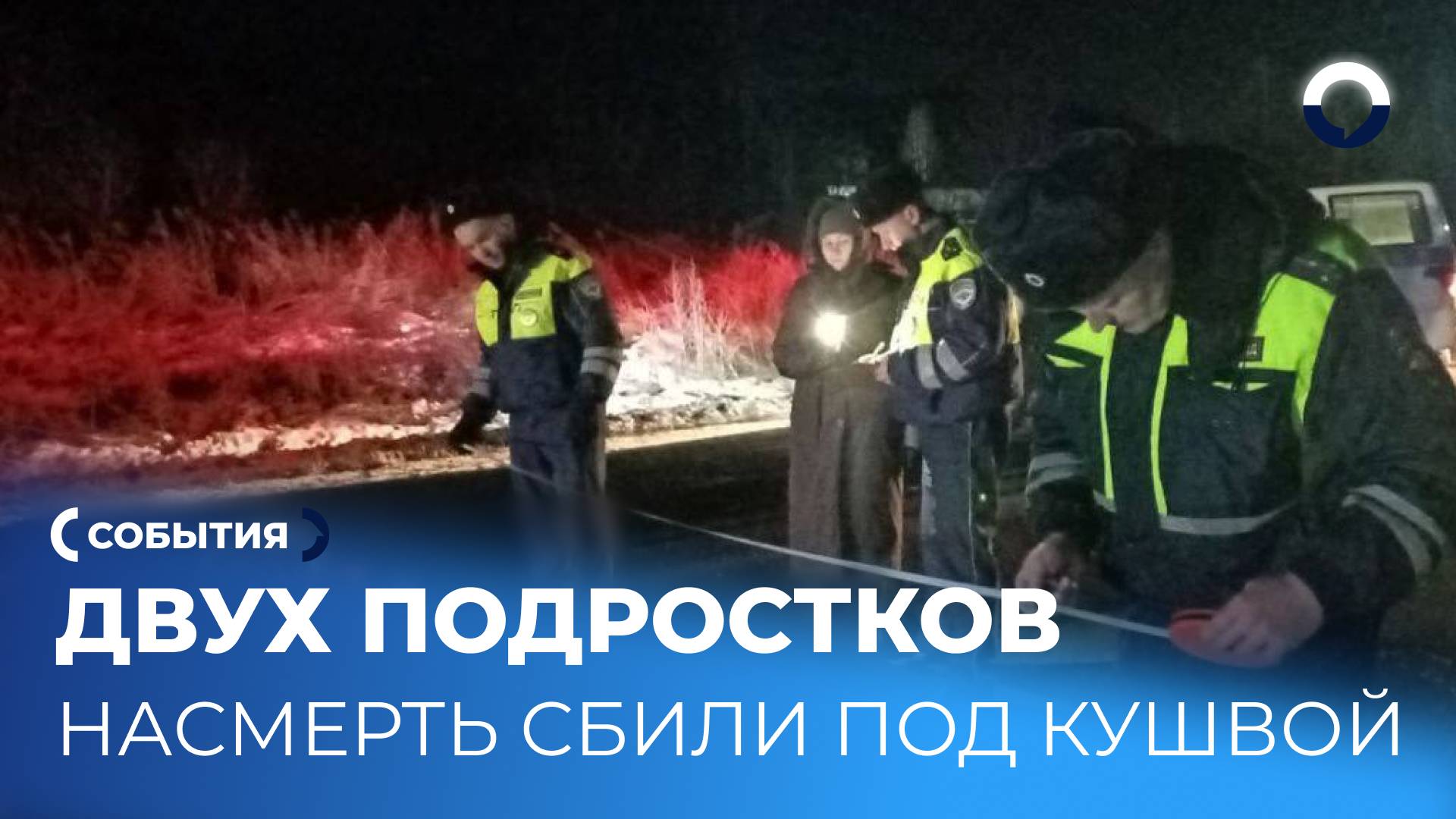 Под Кушвой водитель Ford насмерть сбил двух подростков
