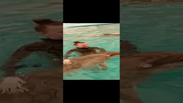 Качество покинуло чат