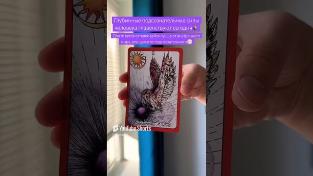 😶🌫️#картадня #cardoftheday #таро #tarot #совет #гадание #таропрогноз #мудрость